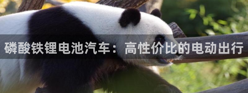 优发国际平台18