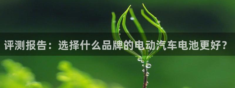 优发国际手机版网站官网：评测报告：选择什么品牌的电动汽车电池更好？