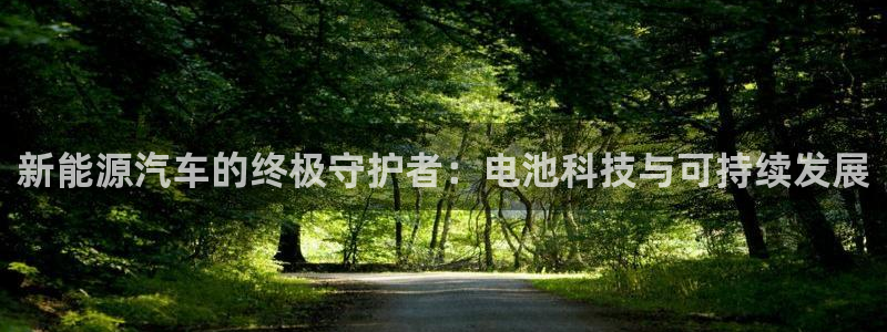 优发国际随优而动一触即发：新能源汽车的终极守护者：电池科技与可持续发展