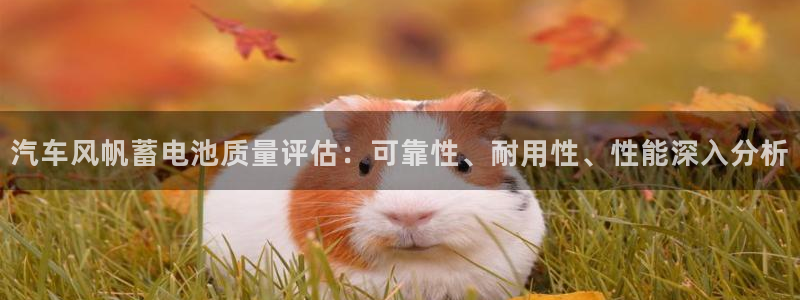 优发国际网页：汽车风帆蓄电池质量评估：可靠性、耐用性、性能深入分析