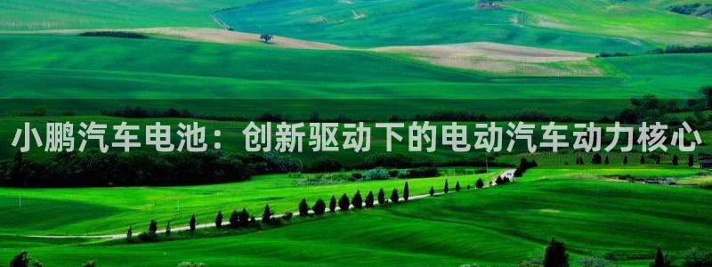 优发国际手机版客户端：小鹏汽车电池：创新驱动下的电动汽车动力核心