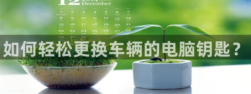 优发国际app登录不了