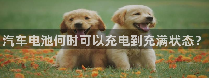 优发国际游戏官方网站