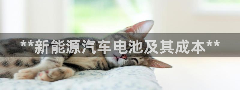 优发国际手机安装登录：**新能源汽车电池及其成本**