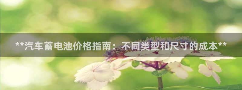 优发国际集团股份有限公司