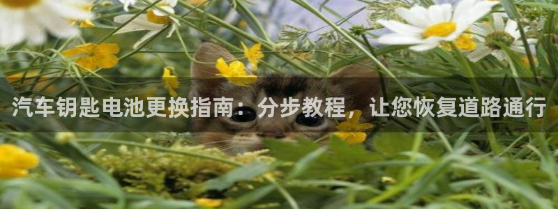 优发国际手机客户端下载