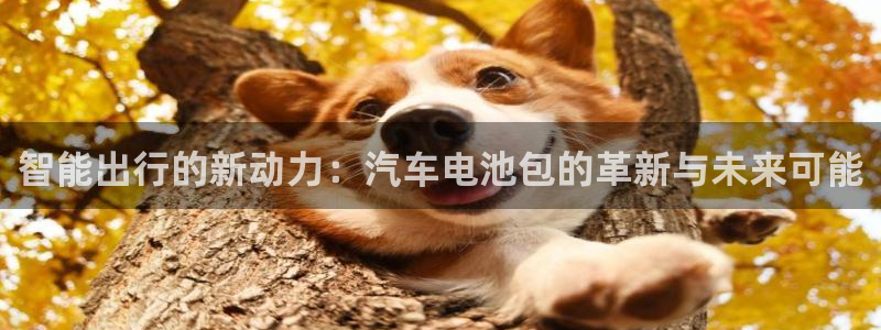 优发国际登录：智能出行的新动力：汽车电池