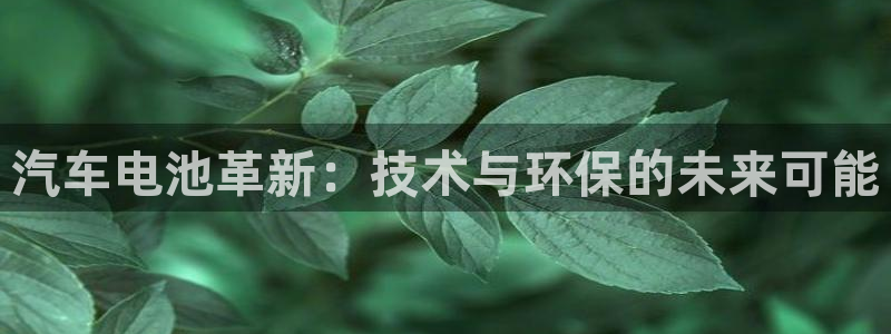 优发国际手机版下载